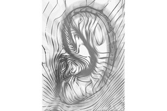 Norddeutsche Hifi-Tage - Hörtetst 2020